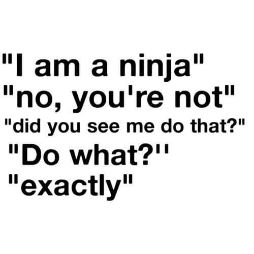 2-work-ninja
